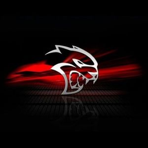 Meet your Posher, Tony